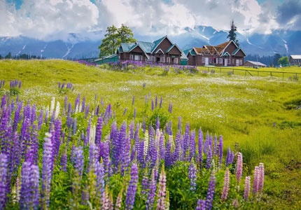 Srinagar Tour