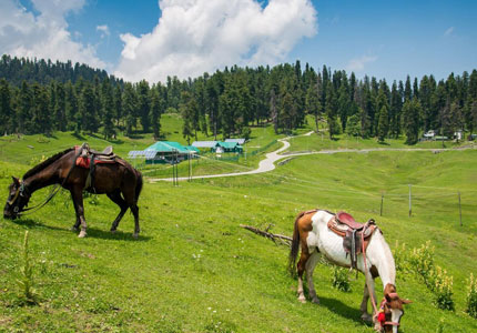 Kashmir,Vaishno Devi - Amritsar  Tour Package