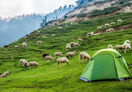 Amritsar Dalhousie Dharamshala Tour Package