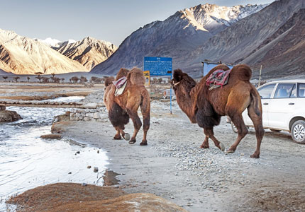 Leh Ladakh Tour Package