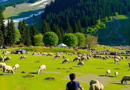Kashmir,Vaishno Devi - Amritsar  Tour Package
